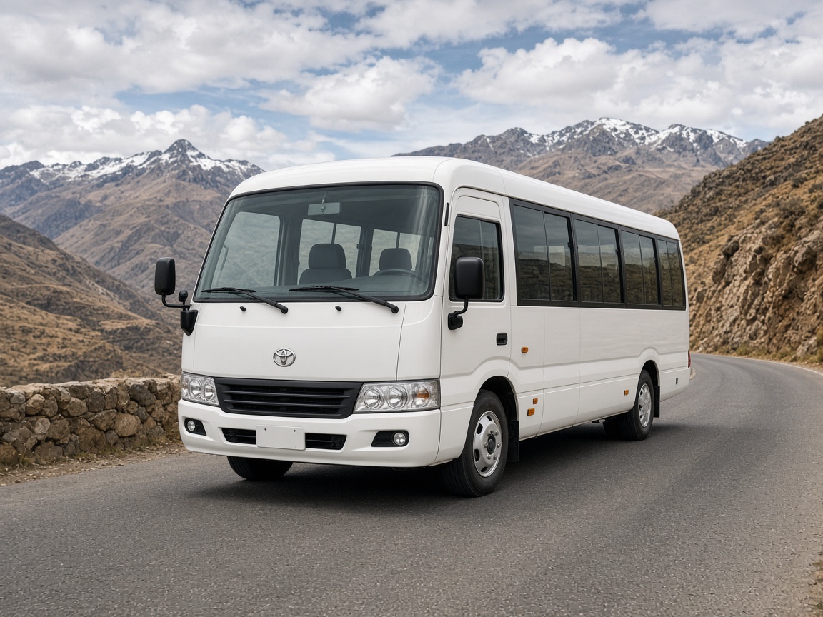 Minibús Toyota Coaster Turístico